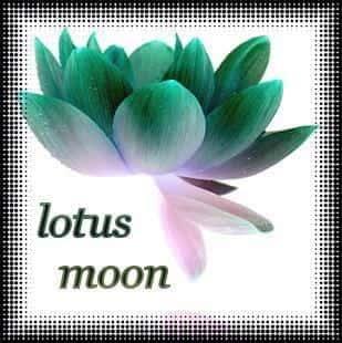 +magic_mushroom+: No word in the english language describes me yet.