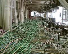 cables :D (clicky)