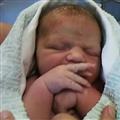Lily at 2 hours old (clicky)