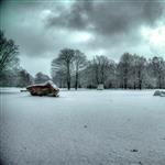 Tiergarten by scott  - 
This file has a maximum resolution of 4760 x 3167 px