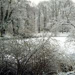 Frosty snow. by scott  - 
This file has a maximum resolution of 4752 x 3168 px