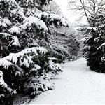 Berlin is not Narnia by scott  - 
This file has a maximum resolution of 6720 x 4480 px