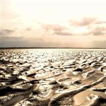 mud flats by scott  - 
This file has a maximum resolution of 2048 x 1536 px