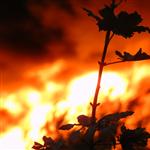 fire2 by scott  - 
This file has a maximum resolution of 2048 x 1536 px