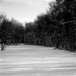 Winter woods by scott  - 
This file has a maximum resolution of 4752 x 3168 px